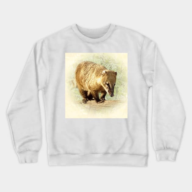 Coati Crewneck Sweatshirt by Guardi